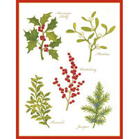 Embossed Botanicals Holiday Cards