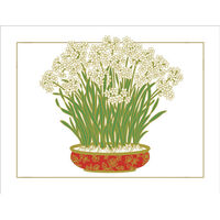 Embossed Paperwhites Holiday Cards