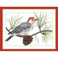 Woodpecker On A Pine Branch Holiday Cards
