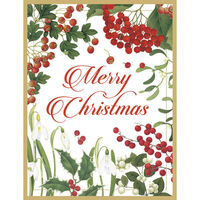 Merry Christmas and Botanicals Holiday Cards